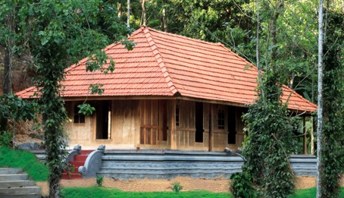 Thekkady wild Corridor